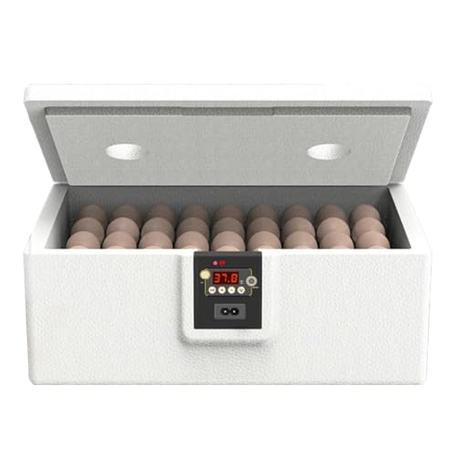 Fierudeng Geflügel Brutapparat | Brutgerät Für Schildkröten 10-25 Eier - Vollisolierte Brutbox Brutgerät Für Puten Schlangen Schildkröten Reptilien von Fierudeng
