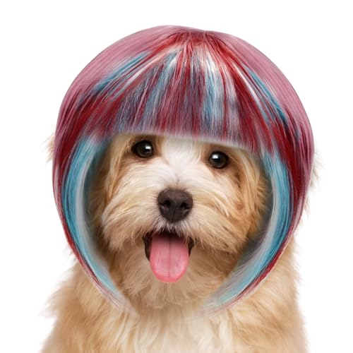 Fierudeng Pet Perücke Für Kleine Hunde | Bunte Tier Perücke Für Kostüm | Halloween Weihnachten rutschfeste Kopfbedeckung Für Parade Party Fotografie Familienfeier Bühnenauftritt von Fierudeng