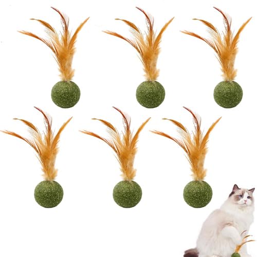 Katzenball Mit Feder Essbar, 6 Stück Katzenspielzeug Bälle Mit Feder, Essbare Katzenfederbälle, Sicheres Gesundes Katzenkauspielzeug, Zahnreinigungs Katzenspielzeug Leckerlis Katzenball Mit Feder Essbar, 6 Stück Katzenspielzeug Bälle Mit Feder, Essbare Katzenfederbälle, Sicheres Gesundes Katzenkauspielzeug, Zahnreinigungs Katzenspielzeug Leckerlis von Fierudeng