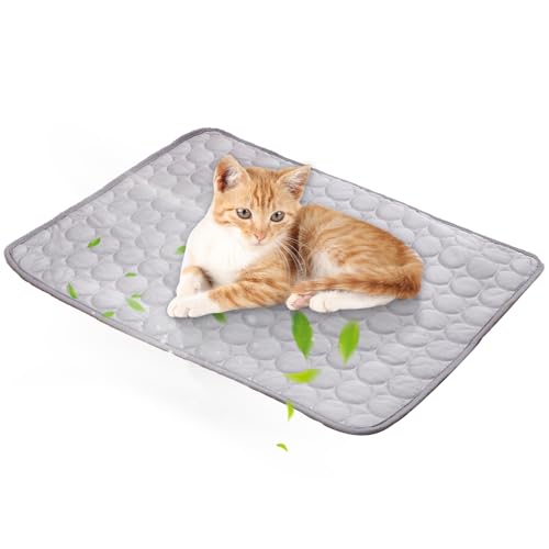 Kühlmatte Für Hunde Katzen, Haustiere Kühldecke, Sommer Eispads Für Käfige, Zwinger, Betten, Sofas, Hundebettmatten, Käfigunterlage, Haustierbedarf Für Hunde Und Katzen Kühlmatte Für Hunde Katzen, Haustiere Kühldecke, Sommer Eispads Für Käfige, Zwinger, Betten, Sofas, Hundebettmatten, Käfigunterlage, Haustierbedarf Für Hunde Und Katzen von Fierudeng