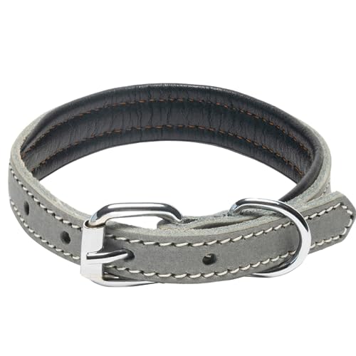 Filbert Leder-Hundehalsband, echtes Lederhalsband für kleine Hunde, hochwertiges graues Leder, luxuriöses gepolstertes Leder-Hundehalsband, starkes Halsband für Hunde von Filbert
