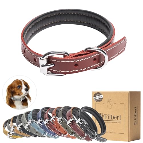 Filbert Hundehalsband aus Leder, Echtlederhalsband für kleine Hunde, hochwertiges rotes Leder-Hundehalsband, luxuriöses gepolstertes Leder-Hundehalsband, starkes Halsband für Hunde von Filbert