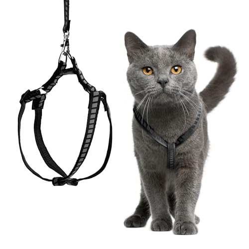 Filbert Katzengeschirr und Leine, Set mit reflektierendem Streifen, dünnes Katzengeschirr ausbruchsicher mit Leine, Step-in, verstellbar, für drinnen und draußen, einfach anzuziehen Filbert Katzengeschirr und Leine, Set mit reflektierendem Streifen, dünnes Katzengeschirr ausbruchsicher mit Leine, Step-in, verstellbar, für drinnen und draußen, einfach anzuziehen von Filbert