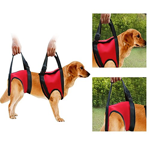 Hunde Tragehilfe vorne Hund Unterstützung Harness Pet Gehhilfe Heben Ziehen Weste Sling Unterstützung Rehabilitation für Alte & Verletzte Hunde (Front Leg - M-Red) von FILFEEL