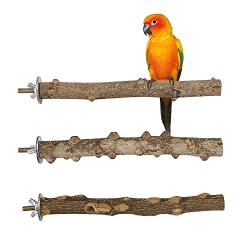 Filhome 3 Stück Vögel Sitzstangen aus Naturholz für Wellensittiche Papageien Vogelkäfig Holz Ständer von Filhome