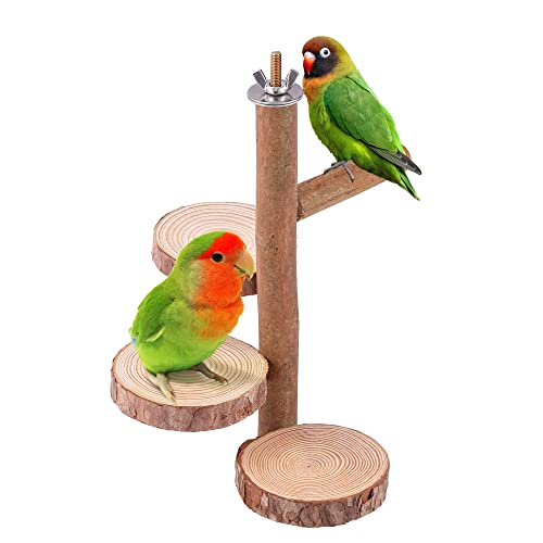 Filhome 5 Stück Vögel Sitzstangen aus Naturholz für Vogelkäfige Schaukel Spielzeug Holz Ständer für Wellensittiche Papagei von Filhome
