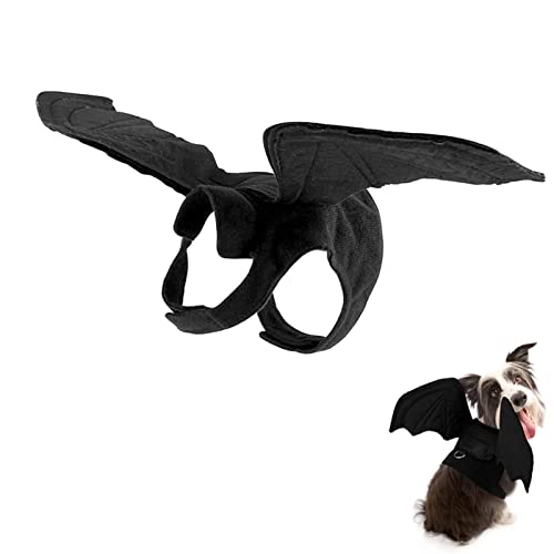 Filhome Halloween Fledermaus Kostüme Geschirr für kleine Hunde Katzen mit D Ring Welpen Flügel Cosplay Kostüm Kleidung mit Kürbisglocke L von Filhome