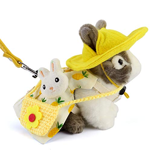 Filhome Haustier Hasenkleid Süßes Kleintier Kostüm mit Sonnenhut Mini Tasche Geschirr Zubehör Kleidung Set von Filhome