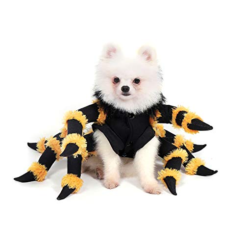Filhome Haustier Spinne Kostüm Cosplay Lustige Party Dress Up für Kleine Mittelgroße und Große Hunde M von Filhome