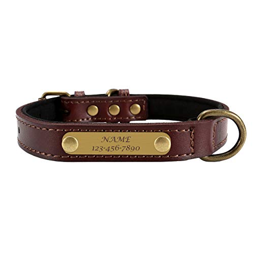 Filhome Personalisiertes Hundehalsbänder aus Leder mit Eingraviertem Namen und Telefonnummer aus Echtem Leder für Kleine Mittlere und Große Hunde und Katze M Filhome Personalisiertes Hundehalsbänder aus Leder mit Eingraviertem Namen und Telefonnummer aus Echtem Leder für Kleine Mittlere und Große Hunde und Katze M von Filhome