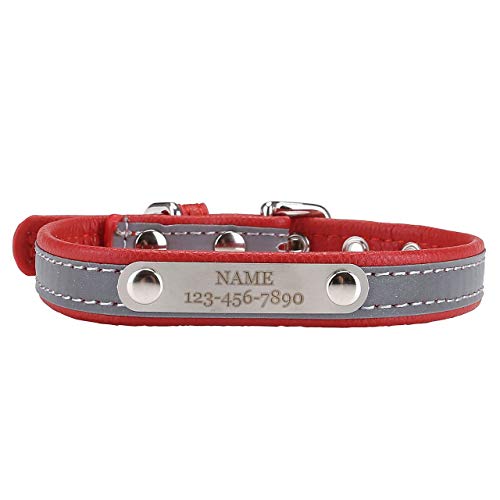 Filhome Personalisierte Hundehalsbänder, Hundehalsband mit Namen und Telefonnummer, Hundehalsband mit Namensschild, Hundehalsband für Kleine Mittelgroße und Große Hunde Rot/L von Filhome