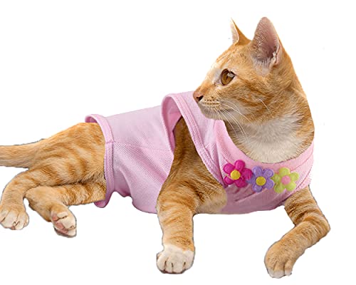 Filhome Recovery Suit Katze für Postoperative Genesung Unterleibsschutz und Wundvernarbung oder Hautkrankheiten Kleidung nach der Operation von Filhome