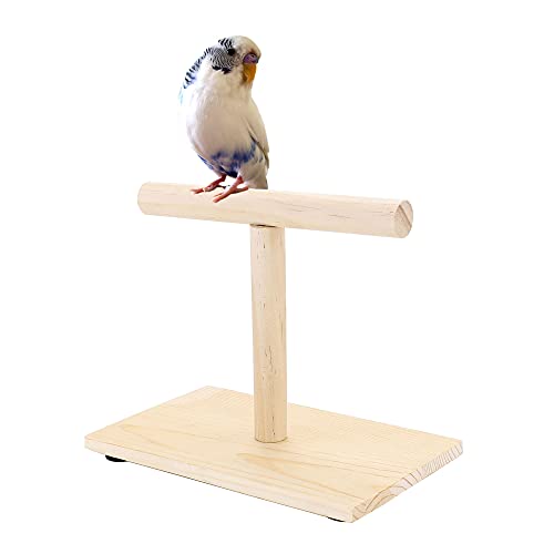 Filhome Vögel Sitzstangen T-förmiger aus Naturholz für Wellensittiche Papageien Vogelkäfig Holz Ständer von Filhome