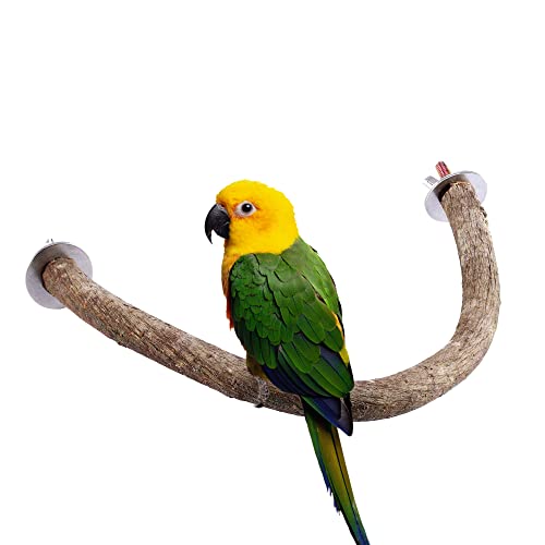 Filhome Vögel Sitzstangen U-Form aus Naturholz für Wellensittiche Papageien Vogelkäfig Holz Ständer Reben 13 * 20cm von Filhome