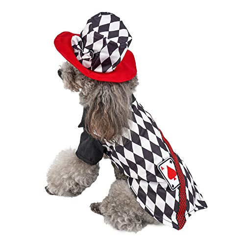 Filhome Zauberer Hundekostüm Halloween Outfits mit Zylinder Katze warme Kleidung Herbst Winter Weihnachten Haustier Cosplay für kleine und mittelgroße Hunde (L) von Filhome