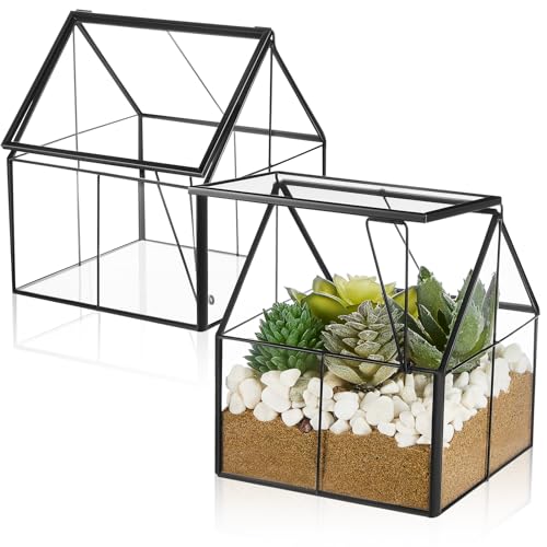 FillTouch Mini-Pflanzen-Terrarium aus Glas, geometrisches Pflanzen-Terrarium mit Deckel, 12,7 x 10,9 x 10,9 cm, kleiner Sukkulenten-Behälter, Pflanzgefäß, Topfkasten, Gewächshaus, Pflanzen für von FillTouch