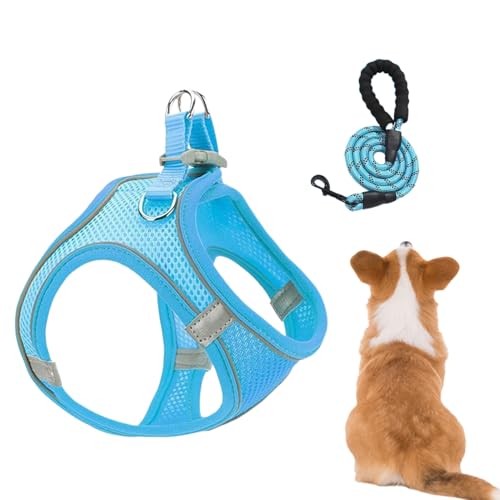 Filvczt Hundegeschirr und Leinenset, Geschirr und Leinen Für Mittelgroße Hunde, Atmungsaktives Ausbruchssicheres Geschirr Für Welpen Kätzchen Wanderungen Tierarzt Camping Training von Filvczt