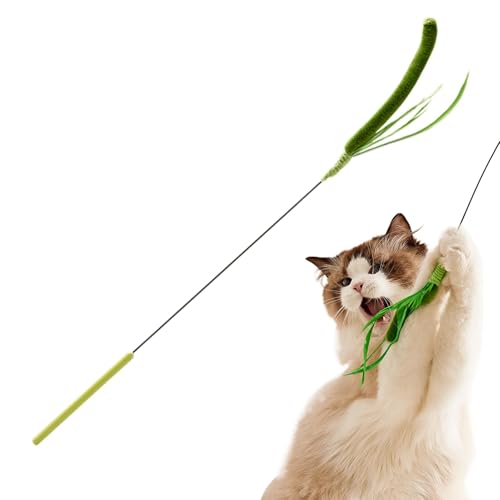 Filvczt Katzenstabspielzeug, Katzenstäbe für Hauskatzen | Katze necken Stick simuliert Setaria - Flexibles Spring-Katzenspielzeug, Haustierzubehör, Lange Plüschstange für das körperliche Training und Filvczt Katzenstabspielzeug, Katzenstäbe für Hauskatzen | Katze necken Stick simuliert Setaria - Flexibles Spring-Katzenspielzeug, Haustierzubehör, Lange Plüschstange für das körperliche Training und von Filvczt