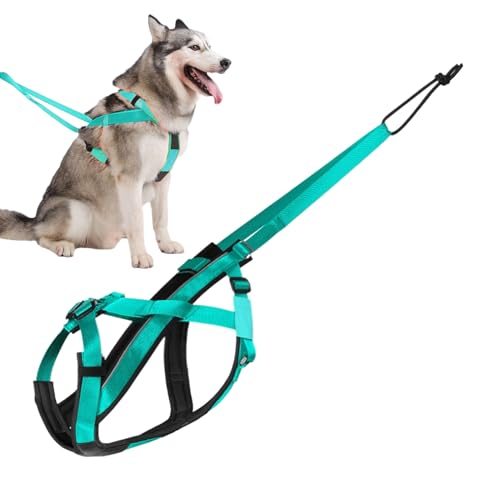 Filvczt Schlittenhund Geschirr - Reflektierendes Großhund Geschirr - Verstellbares Gurtzeug Für Training Skaten Outdoor Aktivitäten Filvczt Schlittenhund Geschirr - Reflektierendes Großhund Geschirr - Verstellbares Gurtzeug Für Training Skaten Outdoor Aktivitäten von Filvczt