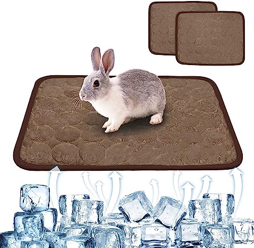 FimGlk Sommer-Kühlmatte für Kaninchen, waschbar, Kaninchenbett, Meerschweinchen, Käfigeinlage, Hamster, Urinierkissen, Fleece-Schlafunterlage für Eichhörnchen, 40 x 30 cm, Braun, 2 Stück von FimGlk