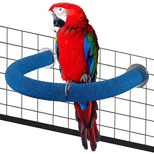 Papageien-Sitzstange, natürliches Vogelkäfig-Spielzeug für kleine, mittelgroße Vögel – Nymphensittiche, Lovebird Conure African Grey von FimGlk