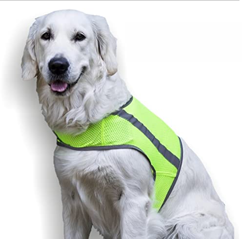 FinNero ATTE Warnweste für Hunde – Reflektierende Sicherheitsweste mit Klettverschluss – Leicht, Atmungsaktiv & Verstellbar – L, Yellow von FinNero