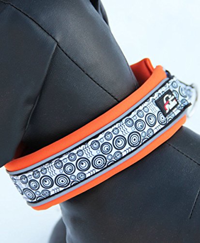 FinNero Pet Products, Finnland - Ocean Sport Hundehalsband aus weichem Neopren (2 (35-42 cm), orange) von FinNero