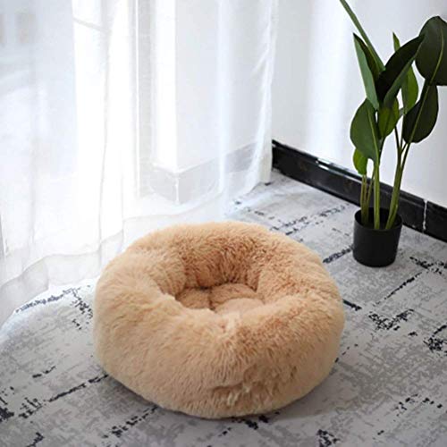 Findm Store Super Weich Warm Haustierbett Rund oder Oval Höhlenbett Waschbar Hundekörbchen Kuschelig Plüsch Katzenkissen S/M/L/XL für Katzen und Welpen Findm Store Super Weich Warm Haustierbett Rund oder Oval Höhlenbett Waschbar Hundekörbchen Kuschelig Plüsch Katzenkissen S/M/L/XL für Katzen und Welpen von Findm Store