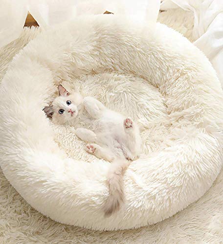 Findm Store Warm Haustierbett Schöne Katzenkissen Donut-Kuschelnest Hundebett Weiches Plüsch Hundesofa mit Rutschfestem Boden, Waschbare Matratze für Kleine, Mittelgroße Hunde Katzen Findm Store Warm Haustierbett Schöne Katzenkissen Donut-Kuschelnest Hundebett Weiches Plüsch Hundesofa mit Rutschfestem Boden, Waschbare Matratze für Kleine, Mittelgroße Hunde Katzen von Findm Store