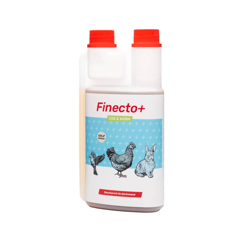 Finendo+ Cox & Worm - 500 ml von Finecto+Finendo+