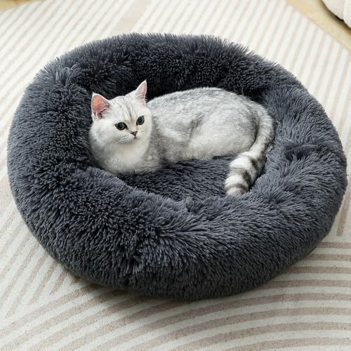 Hundebett, Kätzchenbett, Katzenkissen, Katzennest, rundes Bett, flauschiges Haustierbett, kleine Chihuahua-Betten, kleine Kissen für Katzen, kleine Haustierbetten für Teetasse, Welpen, für 5 kg von Finenohoory