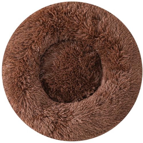 Katzenbetten für den Innenbereich, Donut-Hundebett, Katzenbett, Kätzchenbett, Haustierbett, beruhigendes Hundebett, Welpenbett, kleines Haustierbett, flauschiges Hundebett, kleines rundes Hundebett Katzenbetten für den Innenbereich, Donut-Hundebett, Katzenbett, Kätzchenbett, Haustierbett, beruhigendes Hundebett, Welpenbett, kleines Haustierbett, flauschiges Hundebett, kleines rundes Hundebett von Finenohoory