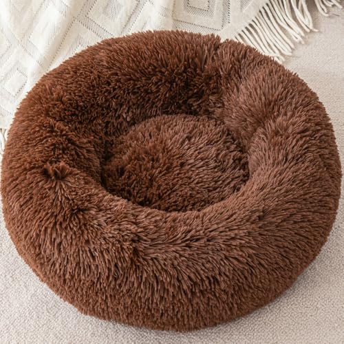 Kleines Hundebett, Welpenbett, kleines Katzenbett, Hasenbett, Katzenbett für Innen, Katzen, Haustierbetten für Katzen, Haustierbetten, Kaninchenbett für 3 kg Haustier Kleines Hundebett, Welpenbett, kleines Katzenbett, Hasenbett, Katzenbett für Innen, Katzen, Haustierbetten für Katzen, Haustierbetten, Kaninchenbett für 3 kg Haustier von Finenohoory