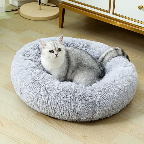 Rundes Katzenbett, Katzen- und Hundebett, kleines Haustierbett, flauschiges Katzenbett, rundes flauschiges Hundebett, niedliches Katzenbett, beruhigendes Donut-Hundebett, beruhigendes Haustierbett, Rundes Katzenbett, Katzen- und Hundebett, kleines Haustierbett, flauschiges Katzenbett, rundes flauschiges Hundebett, niedliches Katzenbett, beruhigendes Donut-Hundebett, beruhigendes Haustierbett, von Finenohoory