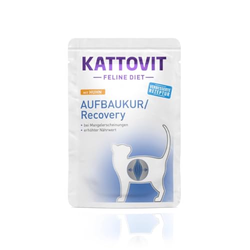Finnern KATTOVIT Aufbaukur Huhn | 24x 85g Katzenfutter bei Untergewicht Finnern KATTOVIT Aufbaukur Huhn | 24x 85g Katzenfutter bei Untergewicht von Kattovit