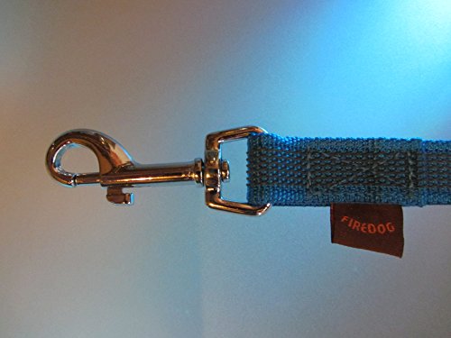 Firedog - Gummierte Leine 20 mm 1 m ohne Handschlaufe blau von FIREDOG