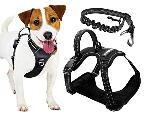 FIRSTPAW Anti Zieh Hundegeschirr für Kleine Hunde Größe S, Reflektierend, Verstellbar, Gepolstert und Atmungsaktiv Brustgeschirr Hund FIRSTPAW Anti Zieh Hundegeschirr für Kleine Hunde Größe S, Reflektierend, Verstellbar, Gepolstert und Atmungsaktiv Brustgeschirr Hund von FirstPaw