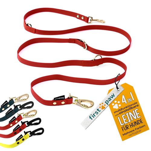 FIRSTPAW Hundeleine - Trainingsleine 2m für Klein, Mittelgroße und Große Hunde - Doppelleine für 2 - Gepolstert, Multifunktionell und Verstellbar (Gold) von FirstPaw