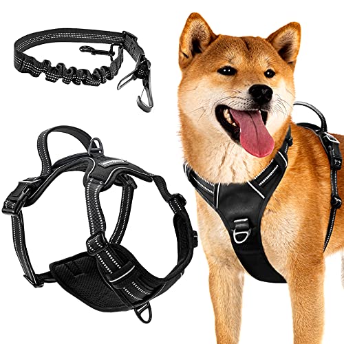 FIRSTPAW Anti Zieh Hundegeschirr für Mittelgroße Hunde Größe M, Reflektierend, Verstellbar, Gepolstert und Atmungsaktiv Brustgeschirr Hund FIRSTPAW Anti Zieh Hundegeschirr für Mittelgroße Hunde Größe M, Reflektierend, Verstellbar, Gepolstert und Atmungsaktiv Brustgeschirr Hund von FirstPaw