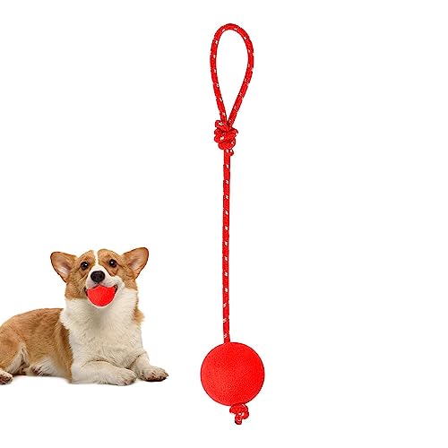 Firulab Ball mit Seil Hundespielzeug | Interaktive Seilbälle aus Gummi - Elastische Vollgummi-Hundebälle, Kauspielzeug für mittelgroße und große kleine Hunde, Gummi-Hundeseilbälle zum Fangen von Firulab