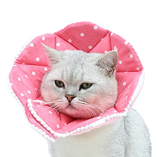 Firulab Katzen-Erholungshalsband, weiche Zapfen für Katzen,Bunt bedrucktes schützendes Kegelhalsband für Haustiere - Bezaubernder, bequemer, Verstellbarer, atmungsaktiver Katzenkegel für Katzen, von Firulab