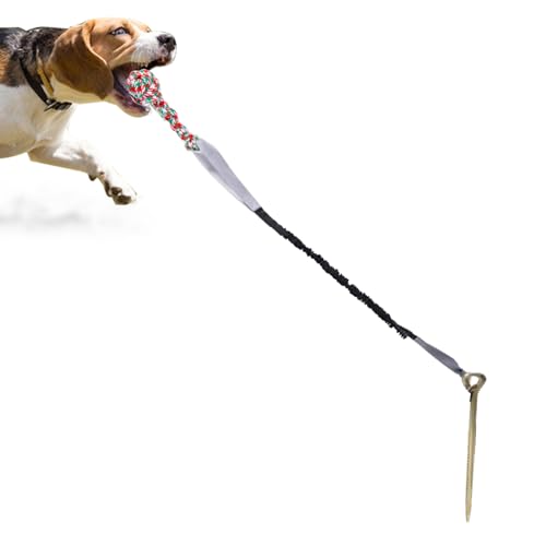 Firulab Seilspielzeug für Aggressive Kauer,Robustes farbiges Spielzeug-Schleppseil | Tauziehen-Hundezugseil, interaktives Zahnreinigungsseil für mittelgroße und große Hunde von Firulab