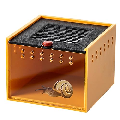 Transparente Reptilienbox | Eidechsenkäfig - Mini-Haustiergehege Tragbarer Tierlebensraumkäfig Reptilienfütterungsbox aus Acryl für Reptilienspinne Einsiedlerkrebs Firulab von Firulab