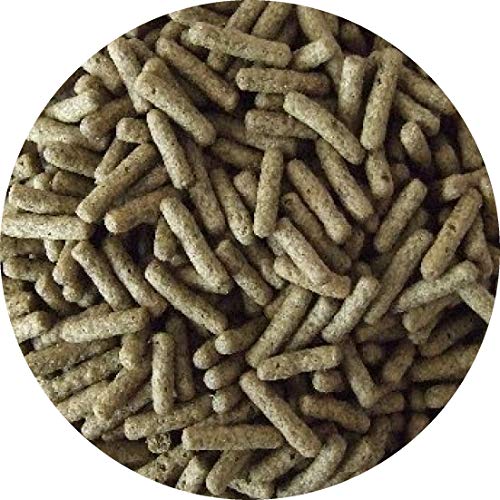 Cichliden Sticks Barsch Sticks Barschfutter Cichlidenfutter Vegetal Herbivore (1 l) von Fischfuttertreff