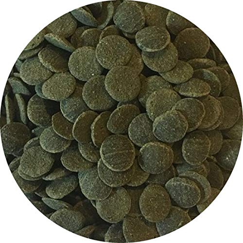 Fischfutter Futtertabletten Wafer MINI Spirulina-Algen Wafers Welstabletten Ø1cm (500ml) von Fischfuttertreff
