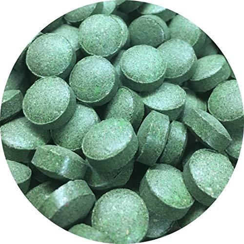 Futtertabletten Linse Tabletten 10mm 20% Spirulina Pflanzliches Fischfutter Wels (100ml) von Fischfuttertreff