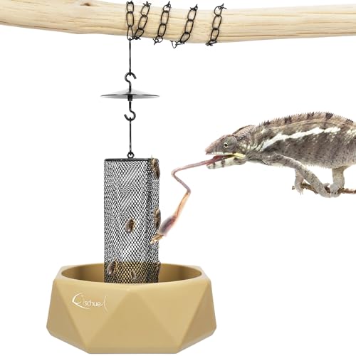 Fischuel Chamäleon-Futternapf, zum Aufhängen, Futterspender für lebende Würmer, mit einer Säule für Beute, geeignet für Chamäleon, Bartagame, Eidechse, Leguan, Gecko (Khaki) von Fischuel