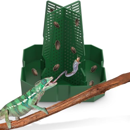 Fischuel Chamäleon Futternapf für Reptilien-Terrarium, Kletterdesign für Reptilien zur Jagd, geeignet zum Füttern von Eidechsen, Bartagamen, Geckos, Wächtern, Fröschen, Grün, Groß Fischuel Chamäleon Futternapf für Reptilien-Terrarium, Kletterdesign für Reptilien zur Jagd, geeignet zum Füttern von Eidechsen, Bartagamen, Geckos, Wächtern, Fröschen, Grün, Groß von Fischuel