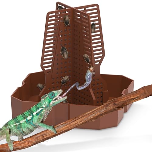 Fischuel Chamäleon Futternapf für Reptilien-Terrarium, Kletterdesign für Reptilien zur Jagd, geeignet zum Füttern von Eidechsen, Bartagamen, Geckos, Wächtern, Fröschen, Rotbraun, Groß Fischuel Chamäleon Futternapf für Reptilien-Terrarium, Kletterdesign für Reptilien zur Jagd, geeignet zum Füttern von Eidechsen, Bartagamen, Geckos, Wächtern, Fröschen, Rotbraun, Groß von Fischuel
