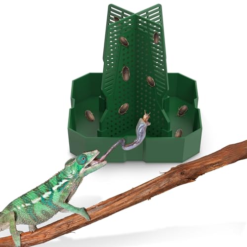 Fischuel Chamäleon Futternapf für Reptilienterrarium, Kletterbares Design für Reptilien zur Jagd, geeignet zum Füttern von Eidechsen, Bartagamen, Geckos, Wächtern, Fröschen, Grün, Klein Fischuel Chamäleon Futternapf für Reptilienterrarium, Kletterbares Design für Reptilien zur Jagd, geeignet zum Füttern von Eidechsen, Bartagamen, Geckos, Wächtern, Fröschen, Grün, Klein von Fischuel